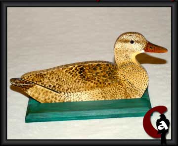 Mallard - Anas platyrhynchos